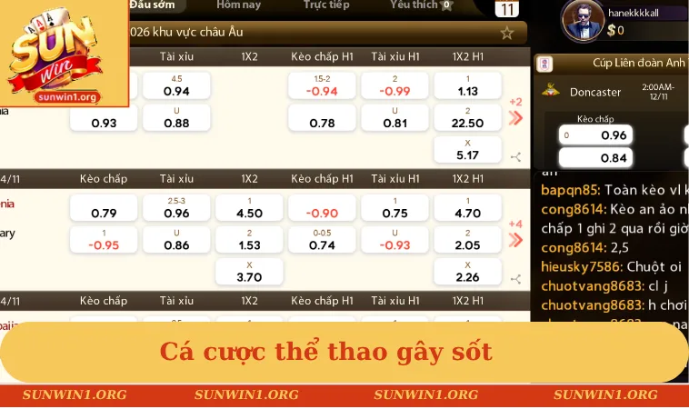 Cá cược thể thao gây sốt