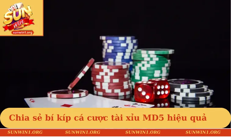 Chia sẻ bí kíp cá cược tài xỉu MD5 hiệu quả giúp hội viên ăn đậm
